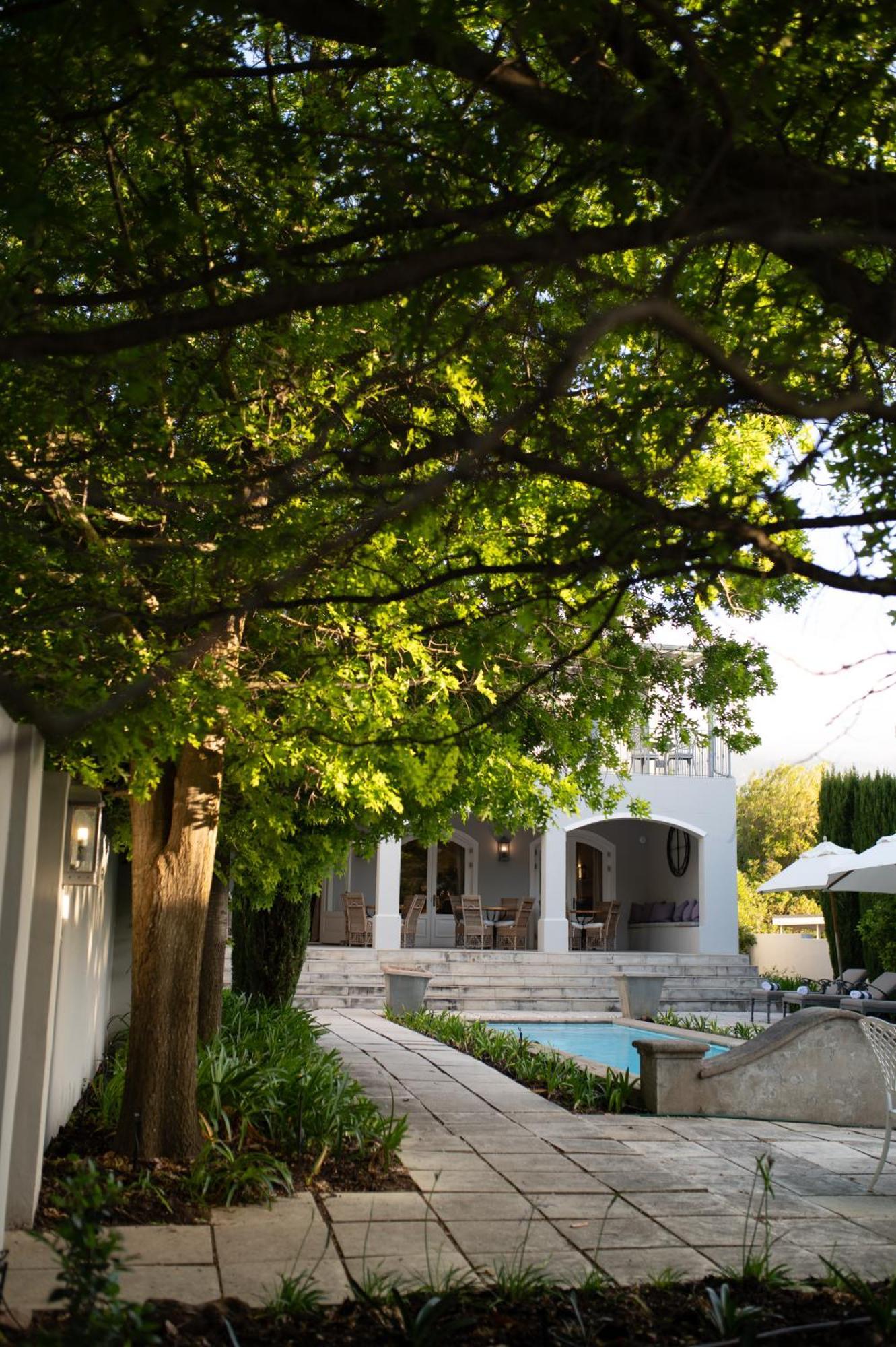 Maison D'Ail Guest House Franschhoek Zewnętrze zdjęcie
